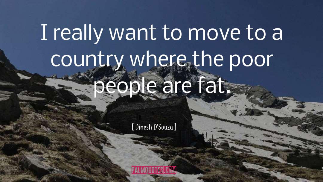 Slagging Fat People Off quotes by Dinesh D'Souza