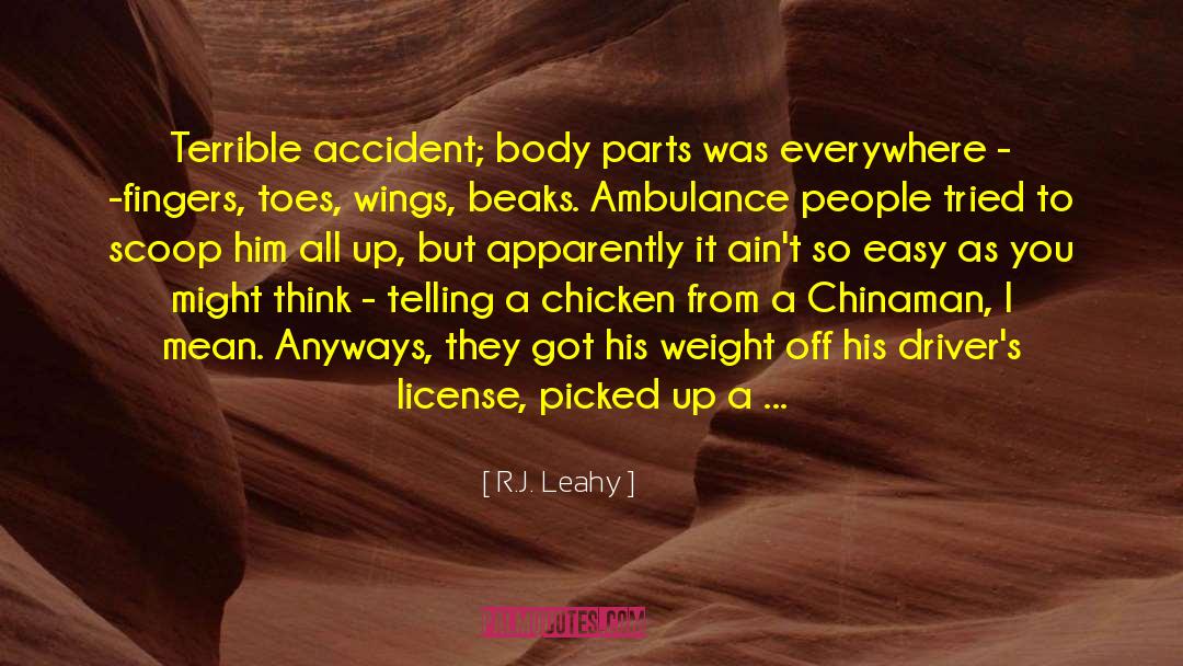 Slagging Fat People Off quotes by R.J. Leahy
