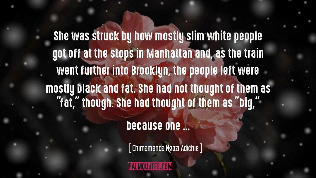 Slagging Fat People Off quotes by Chimamanda Ngozi Adichie