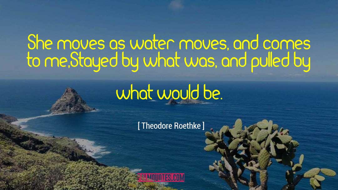 Slam Poetry quotes by Theodore Roethke