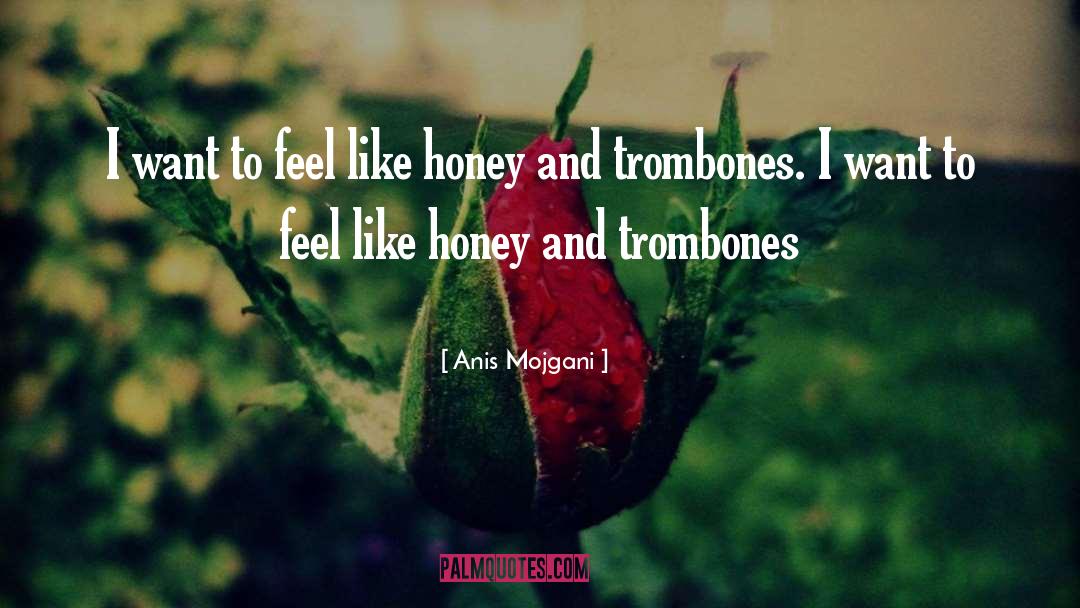 Slam Poetry quotes by Anis Mojgani