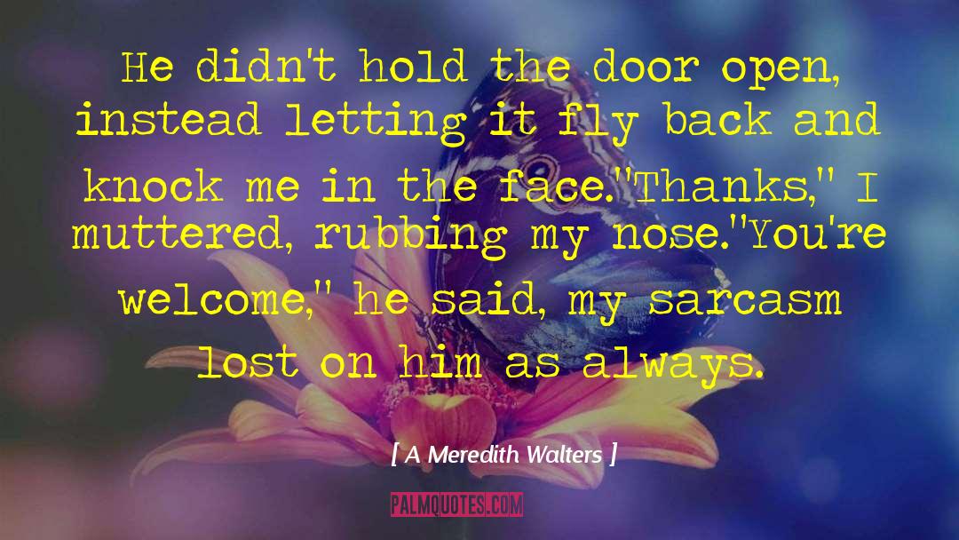 Slamming Open The Door quotes by A Meredith Walters