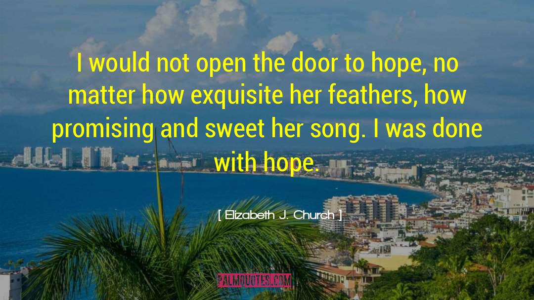 Slamming Open The Door quotes by Elizabeth J. Church