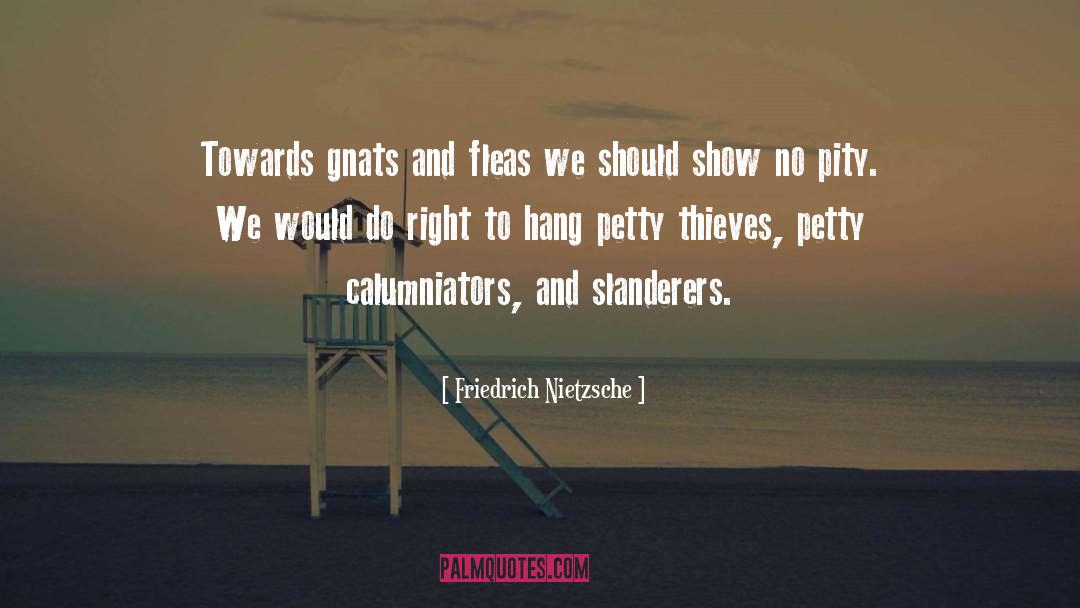Slanderers quotes by Friedrich Nietzsche