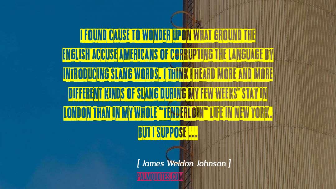 Slang quotes by James Weldon Johnson