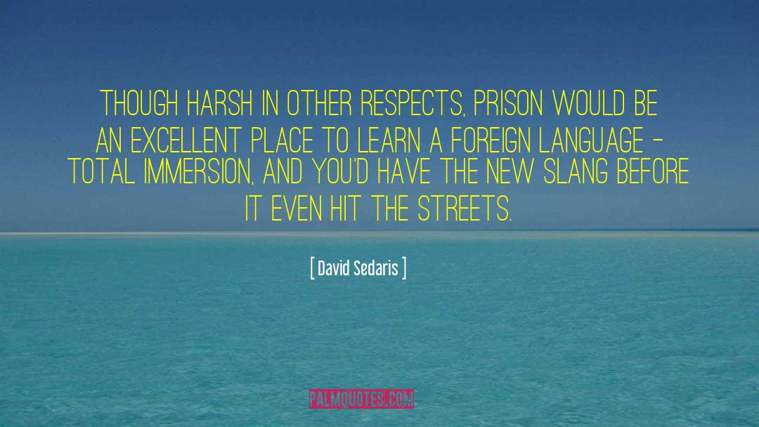 Slang quotes by David Sedaris