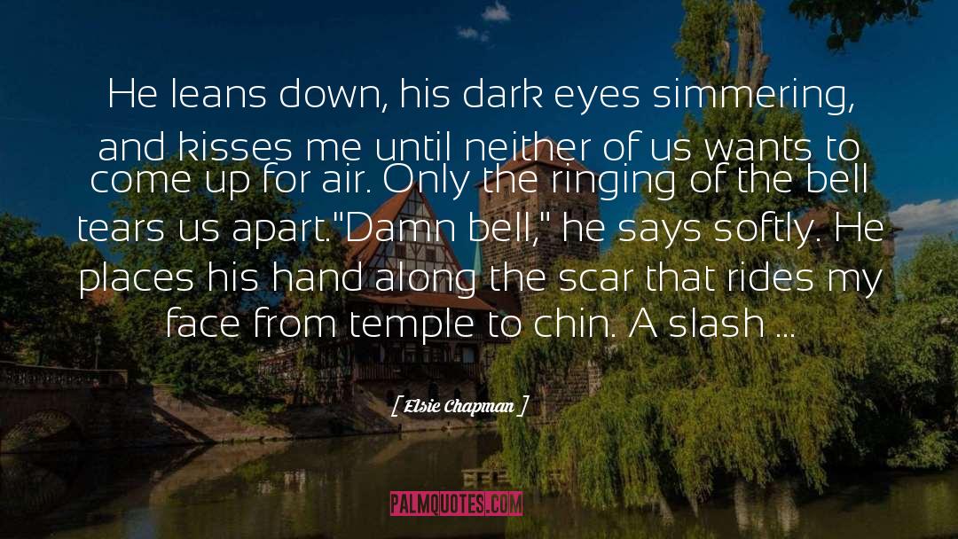 Slash quotes by Elsie Chapman