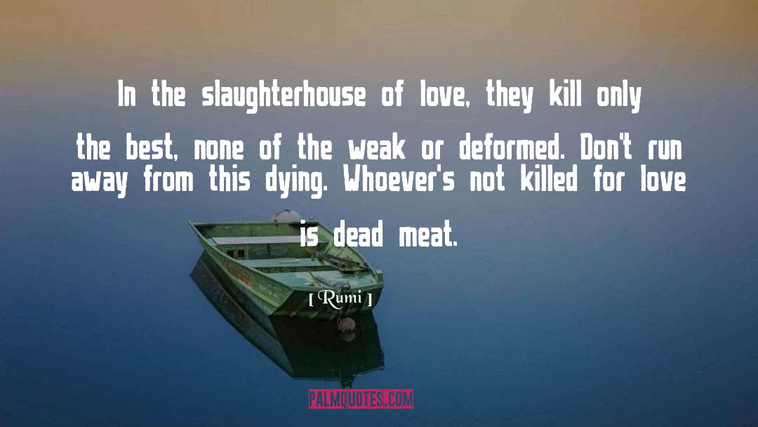 Slaughterhouse quotes by Rumi