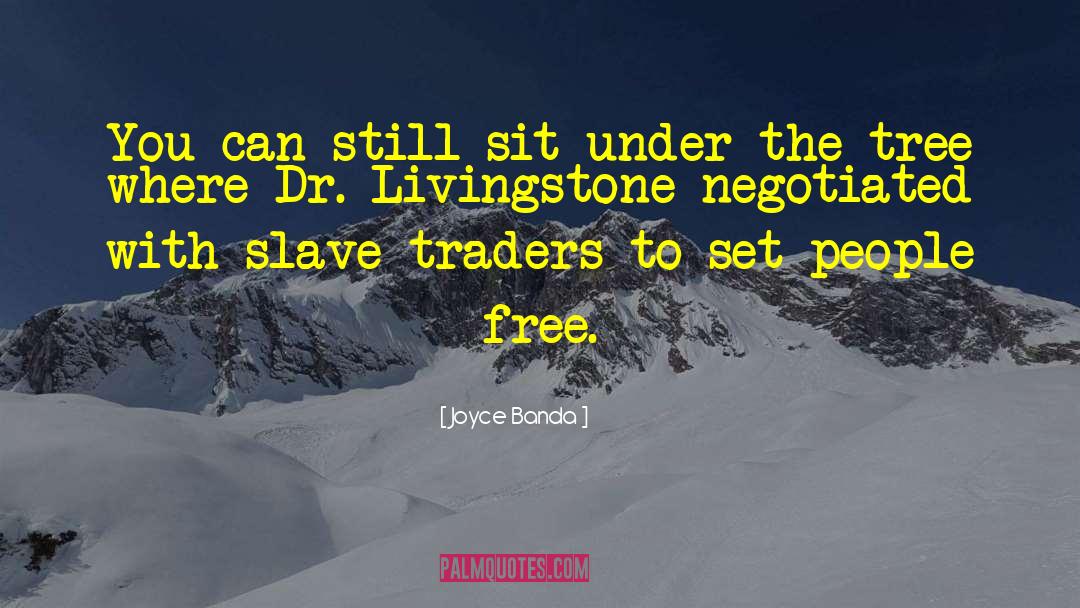 Slave Driver quotes by Joyce Banda