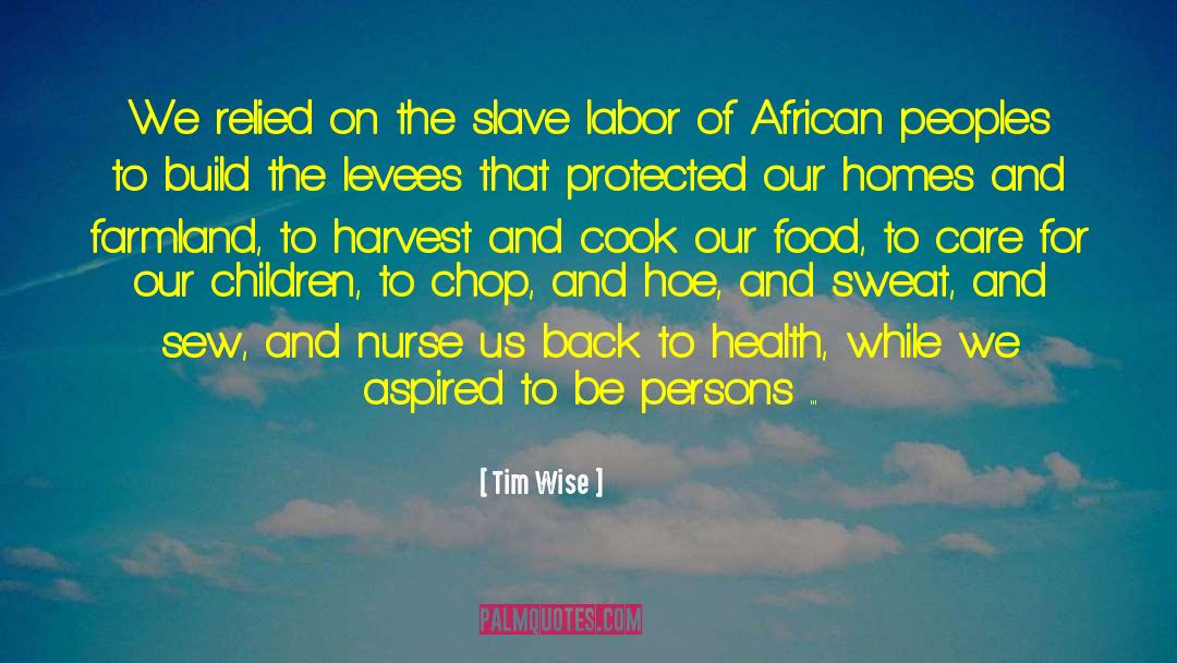 Slave Labor quotes by Tim Wise