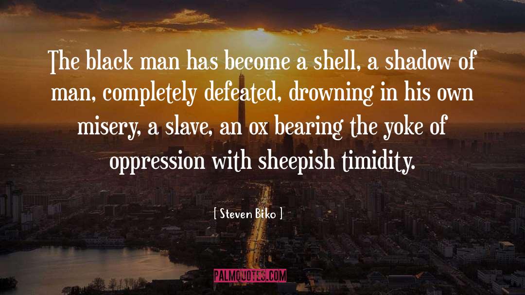 Slave Songs quotes by Steven Biko