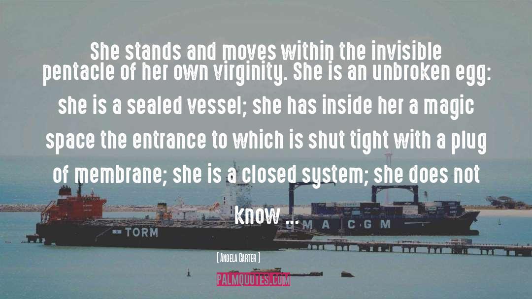 Slave Vessel quotes by Angela Carter