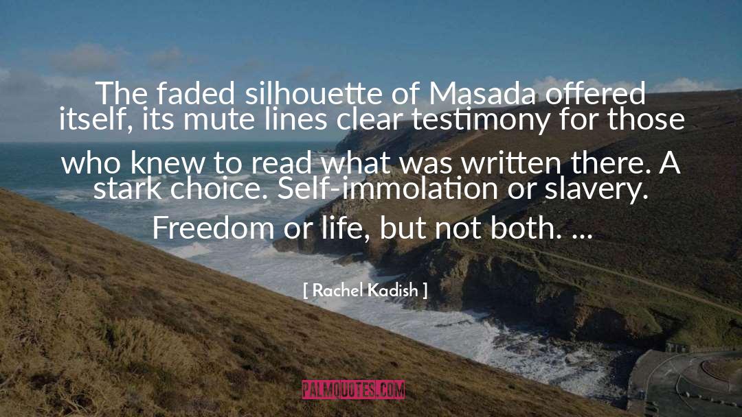 Slavery Freedom quotes by Rachel Kadish