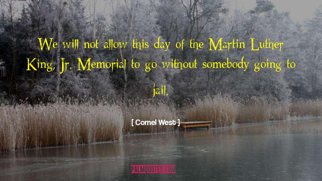 Slawik Jail quotes by Cornel West
