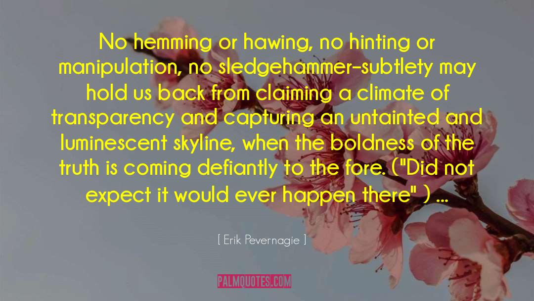 Sledgehammer quotes by Erik Pevernagie