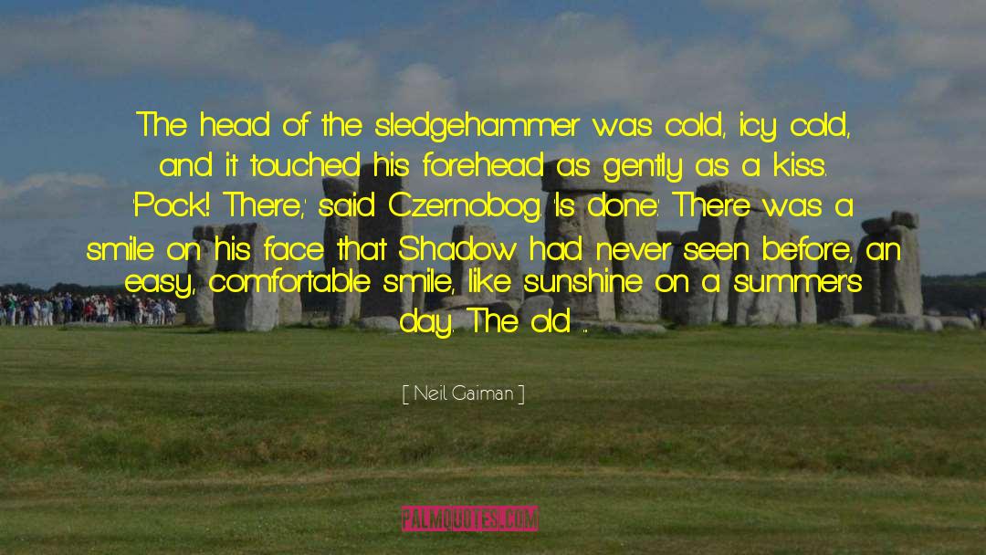 Sledgehammer quotes by Neil Gaiman