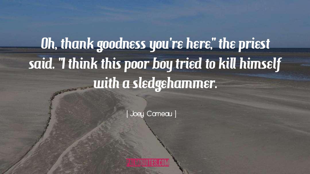 Sledgehammer quotes by Joey Comeau