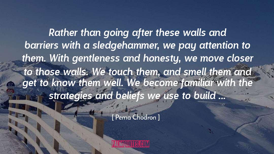 Sledgehammer Subtlety quotes by Pema Chodron