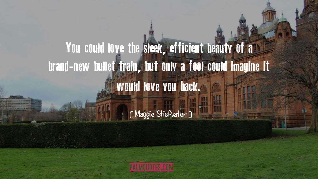 Sleek quotes by Maggie Stiefvater