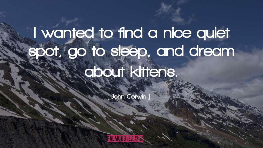 Sleep And Dream quotes by John Corwin