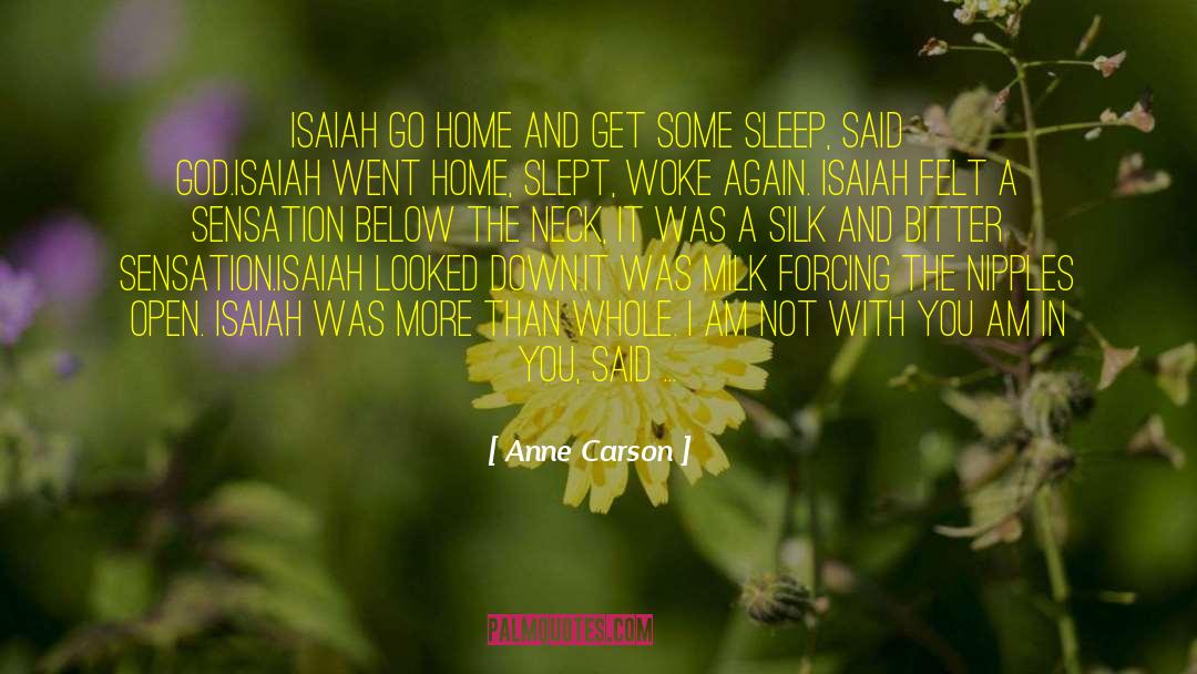 Sleep Angel quotes by Anne Carson
