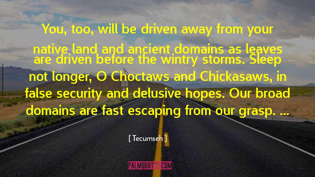 Sleep Angel quotes by Tecumseh