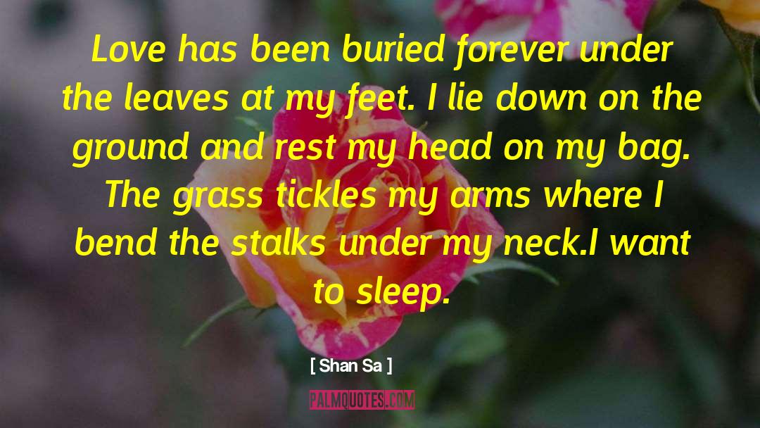 Sleep Bys quotes by Shan Sa