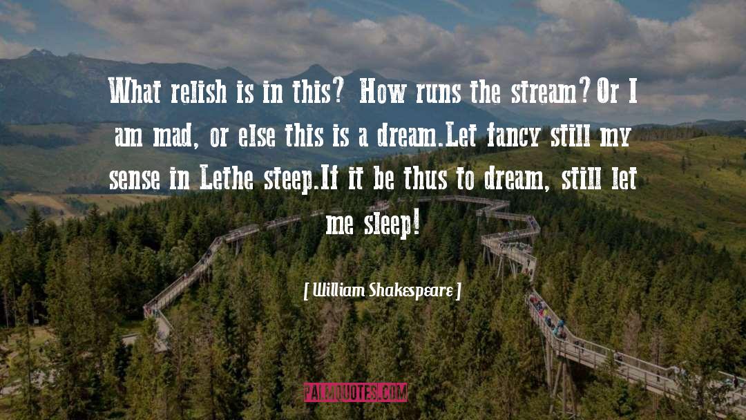 Sleep Dream quotes by William Shakespeare