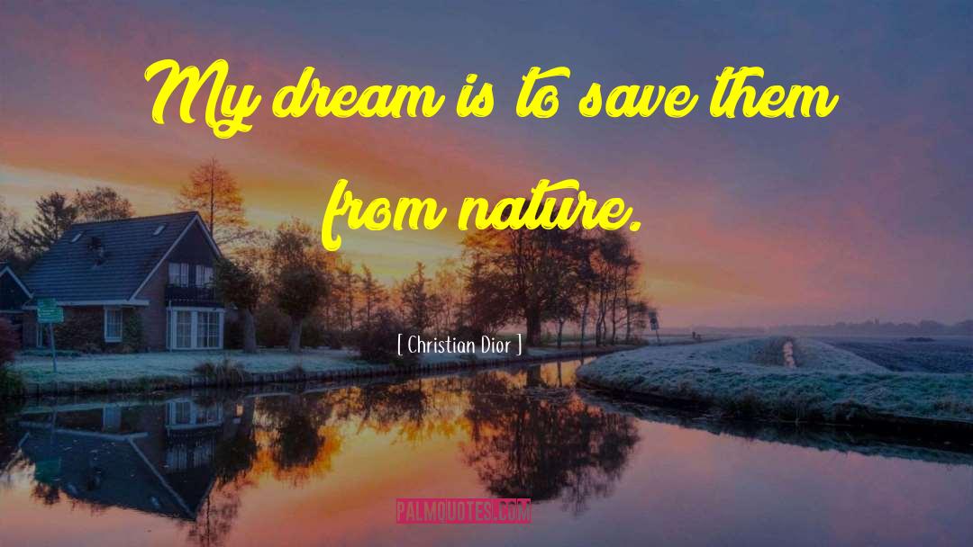 Sleep Dream quotes by Christian Dior