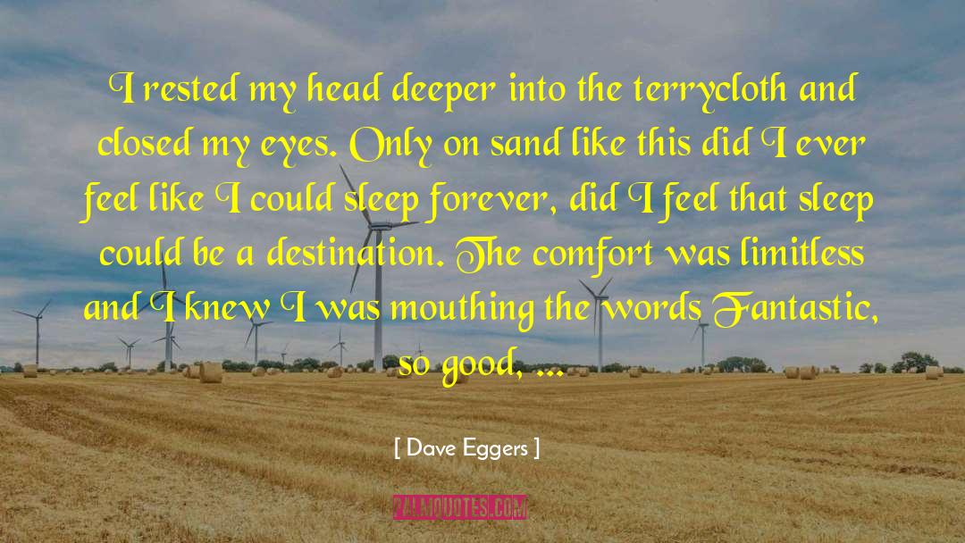 Sleep Forever quotes by Dave Eggers