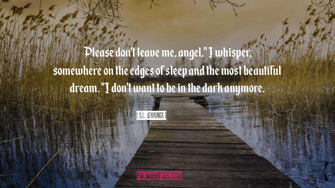 Sleep Inertia quotes by S.L. Jennings