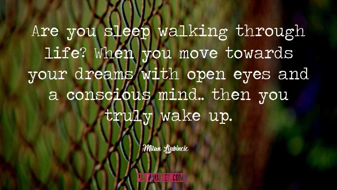 Sleep Walking quotes by Milan Ljubincic