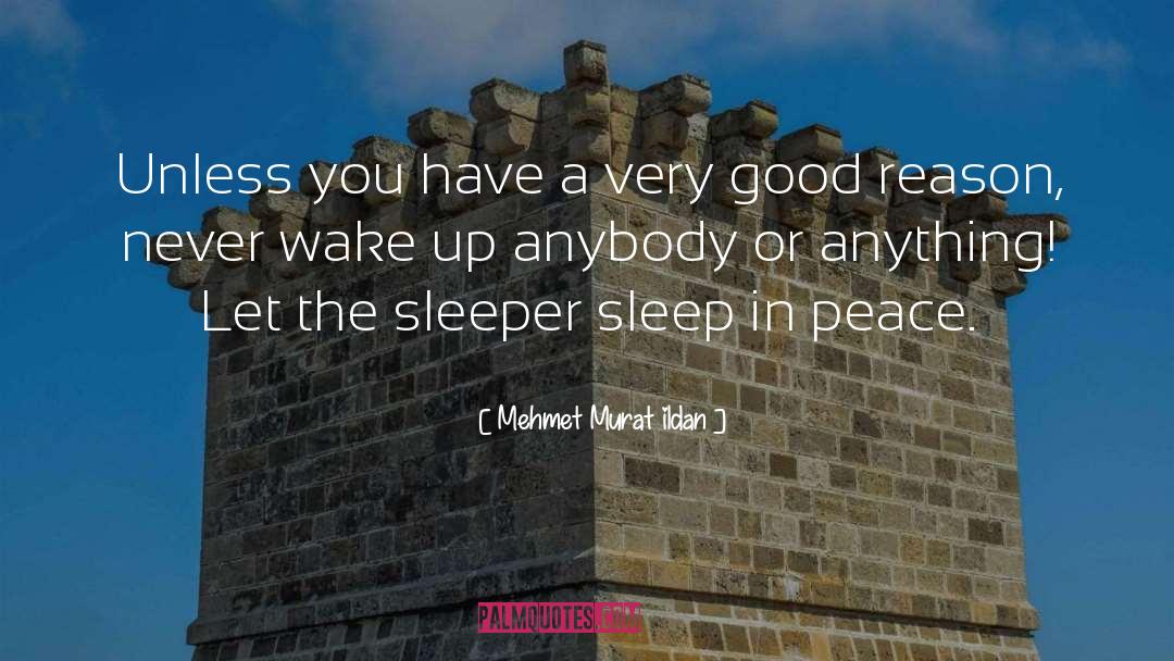 Sleeper quotes by Mehmet Murat Ildan