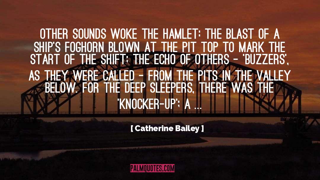 Sleepers quotes by Catherine Bailey