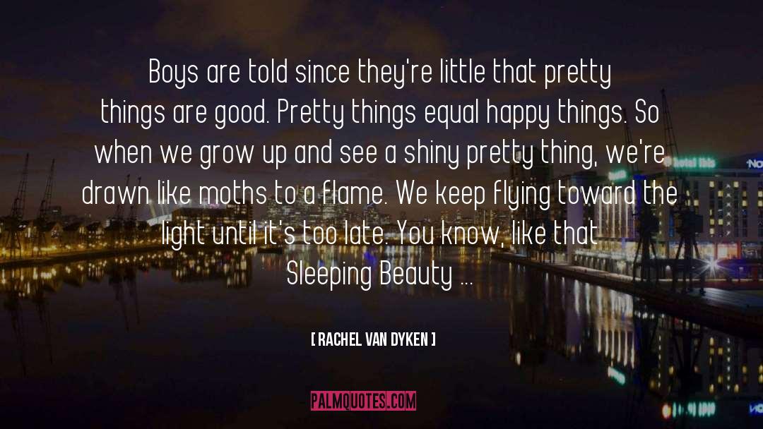 Sleeping Beauty quotes by Rachel Van Dyken