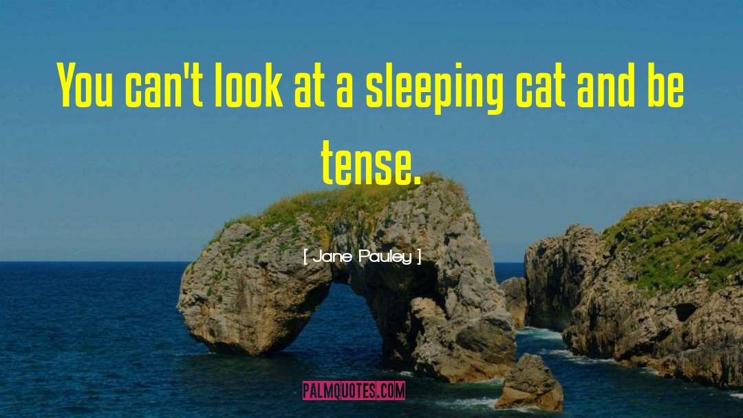 Sleeping Cat quotes by Jane Pauley