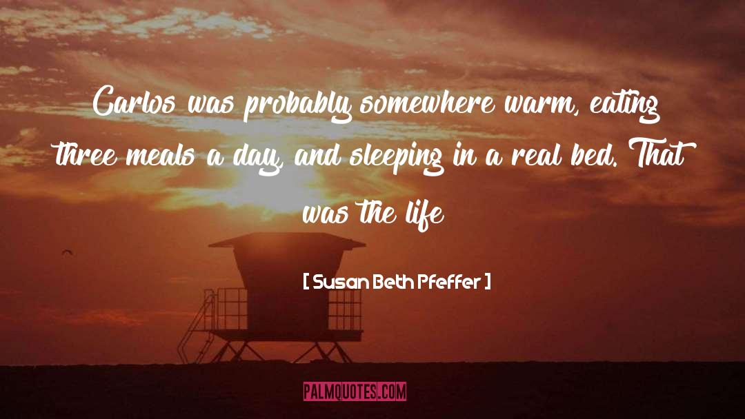 Sleeping In quotes by Susan Beth Pfeffer