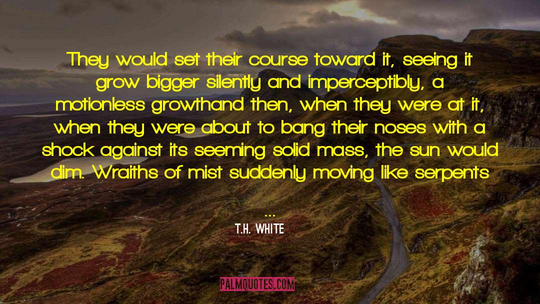 Sleeping With The Sun quotes by T.H. White