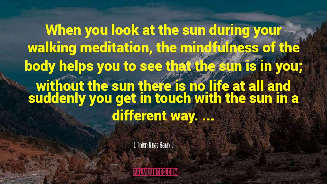 Sleeping With The Sun quotes by Thich Nhat Hanh