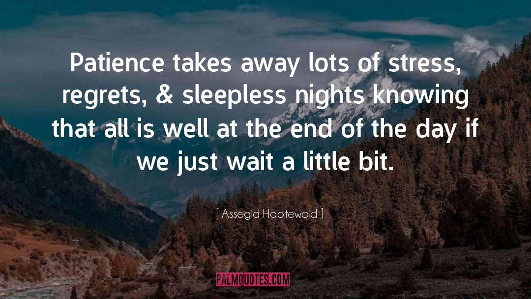 Sleepless Nights quotes by Assegid Habtewold