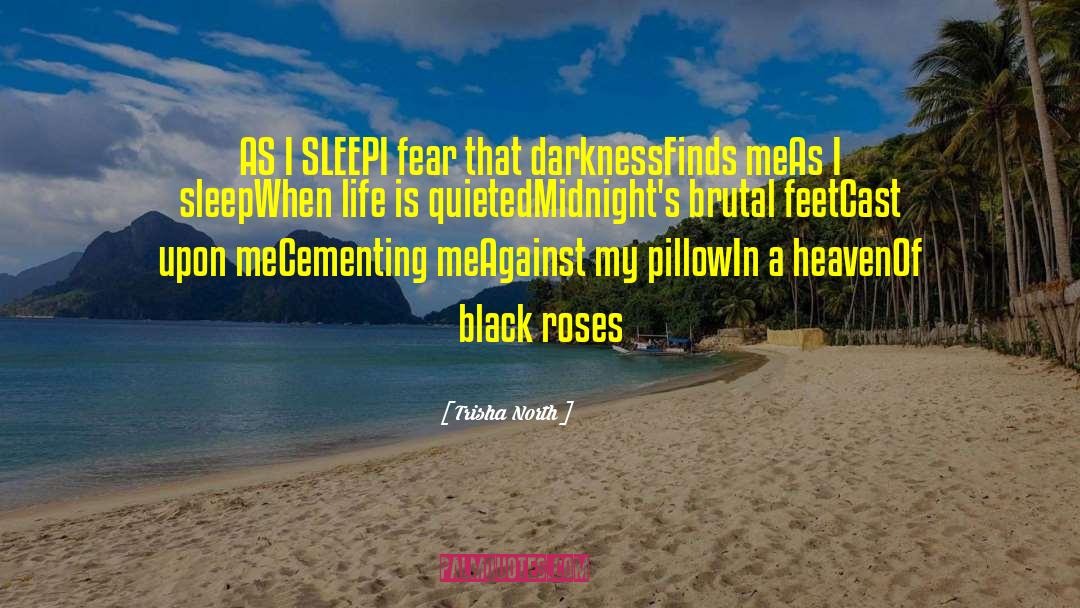 Sleepless Nights quotes by Trisha North