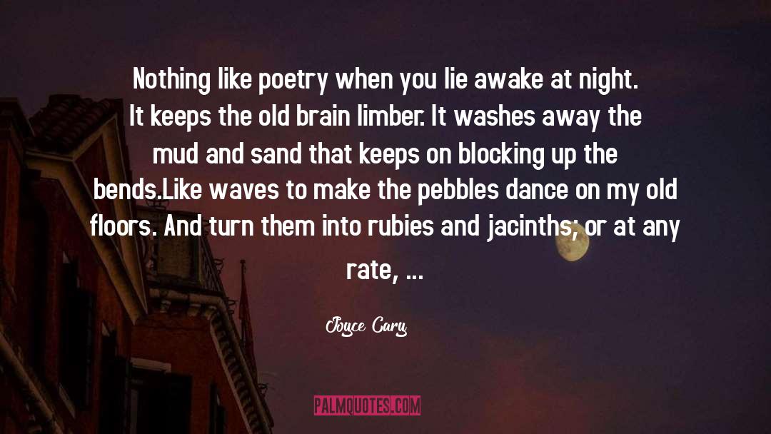 Sleepless quotes by Joyce Cary