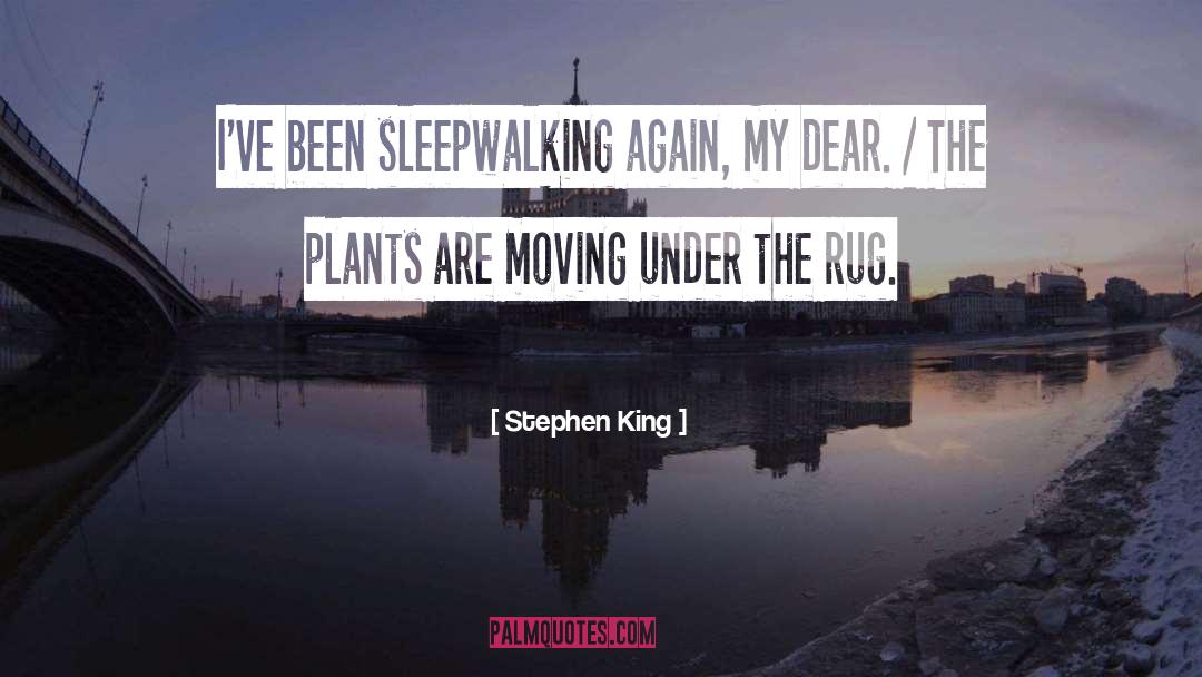 Sleepwalking quotes by Stephen King