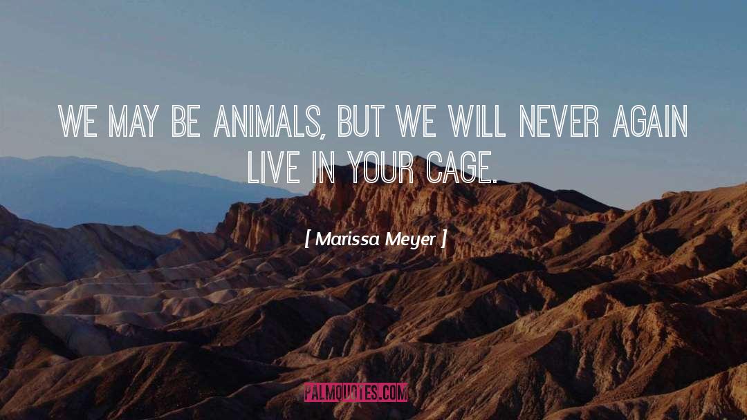 Sleepy Animals quotes by Marissa Meyer