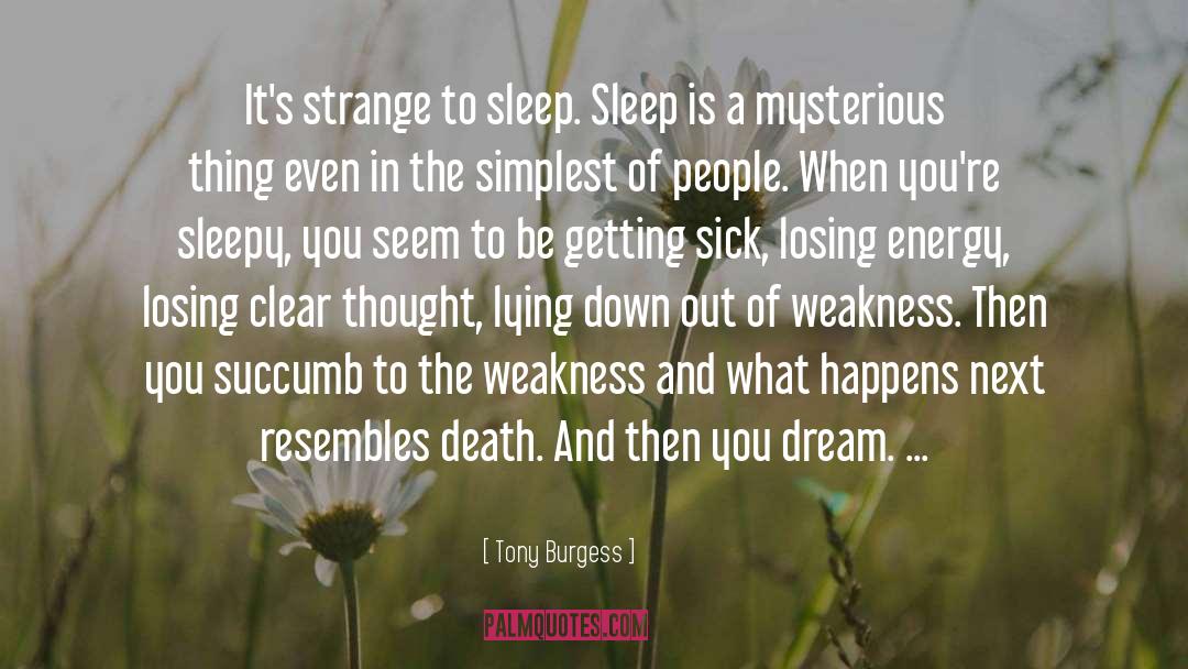 Sleepy Heads quotes by Tony Burgess