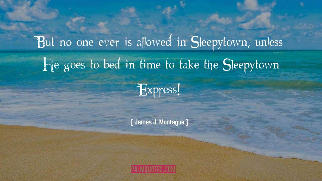 Sleepytown Beagles quotes by James J. Montague