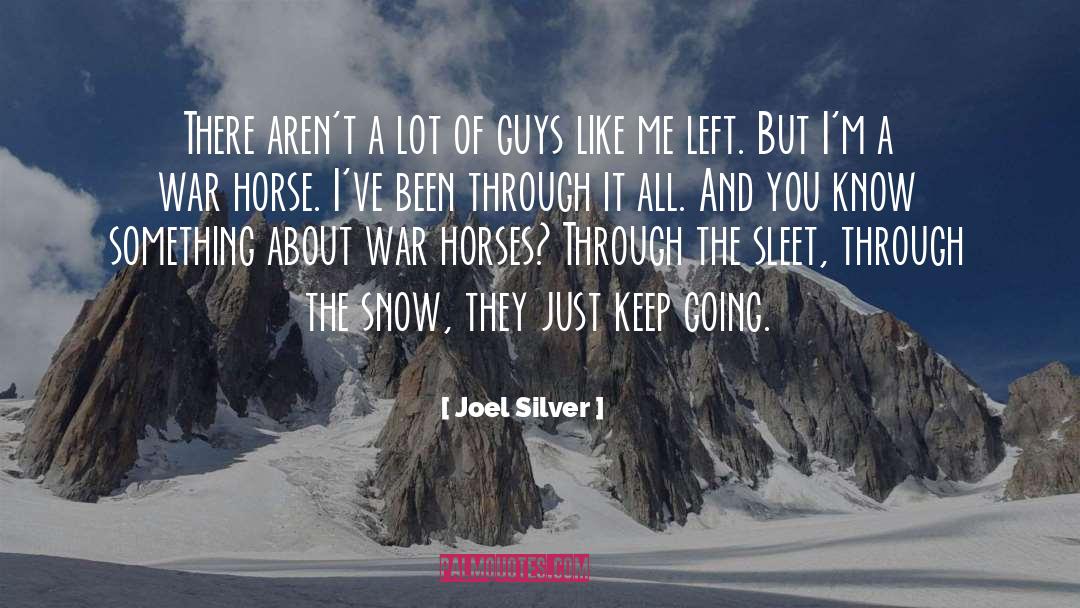 Sleet quotes by Joel Silver