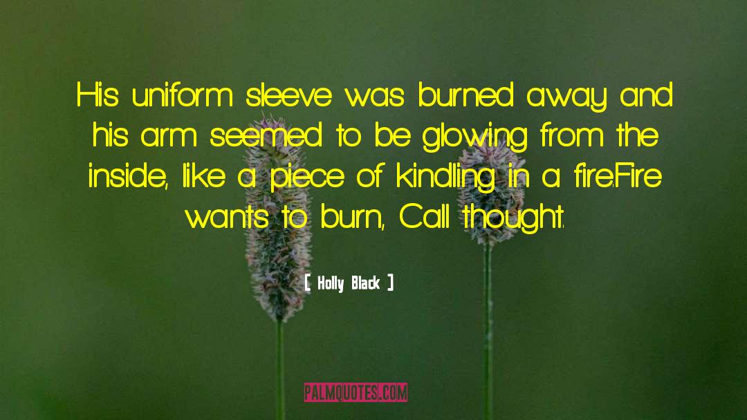 Sleeve quotes by Holly Black