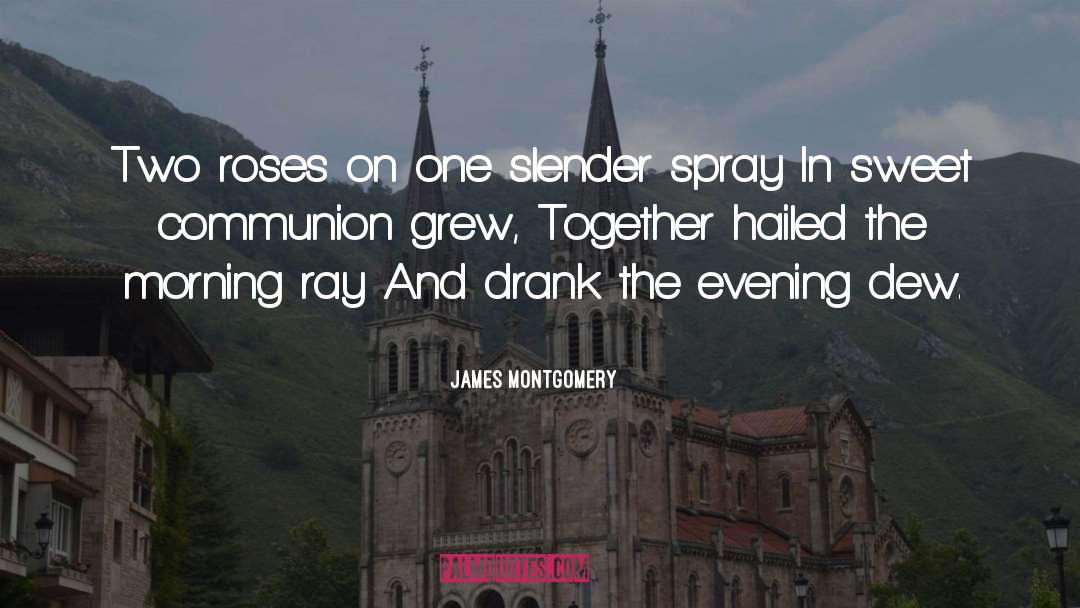 Slender quotes by James Montgomery