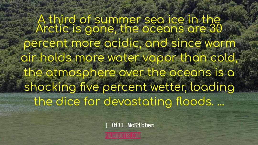 Slice And Dice quotes by Bill McKibben